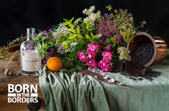 Gin tour & tasting at Born in the Borders, Jedburgh
