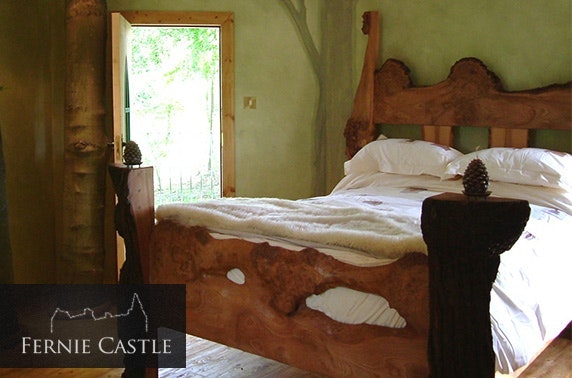 Stunning luxury treehouse stay, Fernie Castle