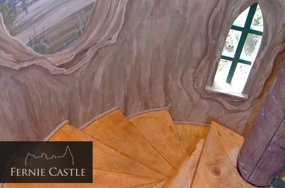 Stunning luxury treehouse stay, Fernie Castle