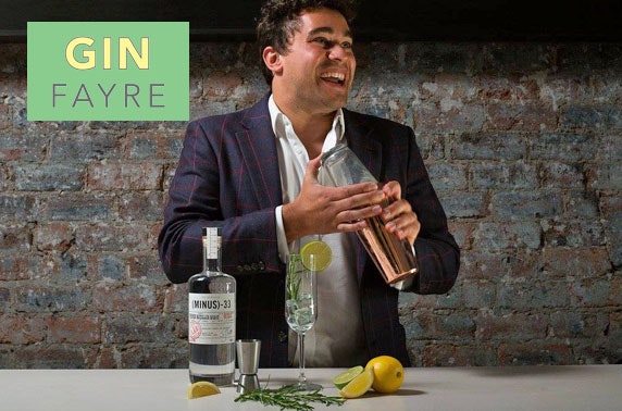 The Gin Fayre at The Salutation Hotel, Perth