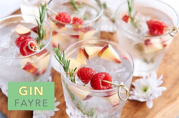 The Gin Fayre at The Salutation Hotel, Perth