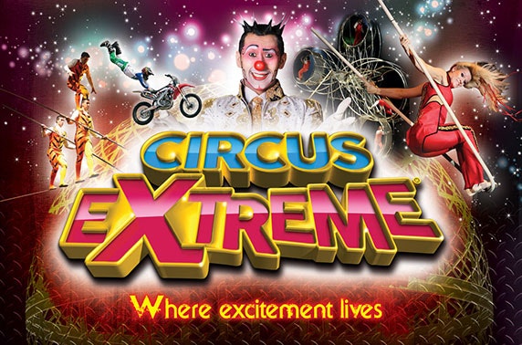 Circus Extreme at Town Moor