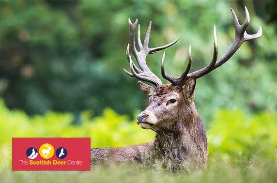 The Scottish Deer Centre passes - from £3.40pp