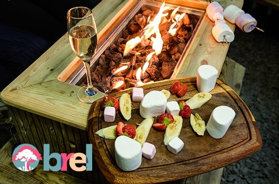 Brel fire pit with marshmallows & drinks