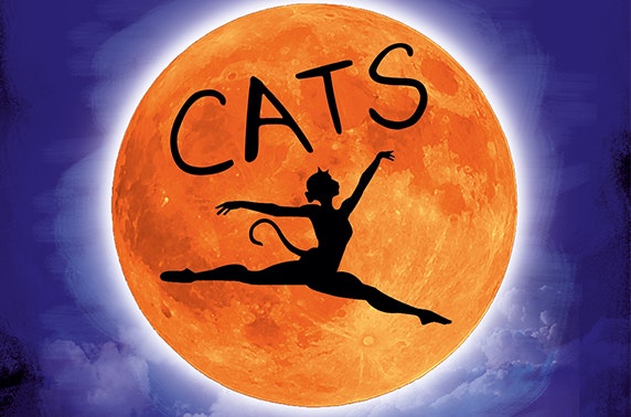 Cats the Musical at the King’s Theatre