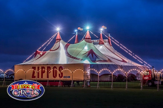 Zippo's Circus, choice of 5 locations