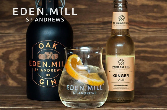Eden Mill gin tasting, Princes Square
