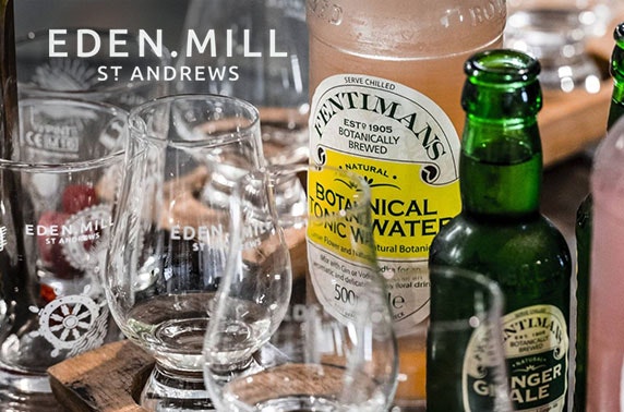 Eden Mill gin tasting, Princes Square