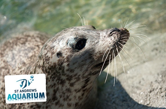 St Andrews Aquarium family pass & feeding experiences
