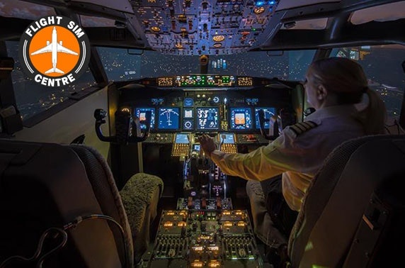 Flight simulation experience – choice of 3 planes