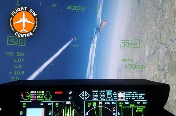 Flight simulation experience – choice of 3 planes
