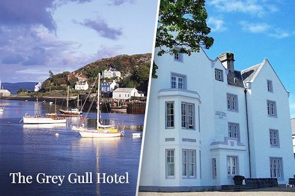 The Grey Gull Hotel