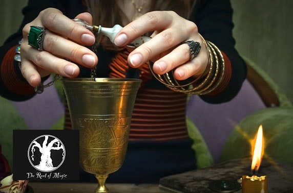 Adult potions workshop, The Root of Magic