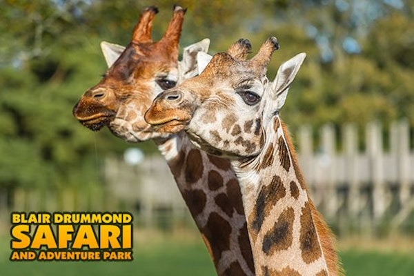 Blair Drummond Safari and Adventure Park 