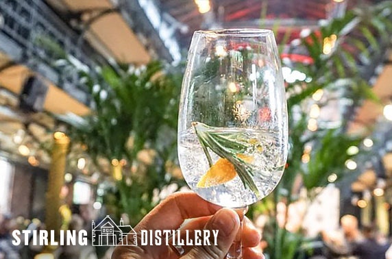 Gin tour and tasting, Stirling Distillery