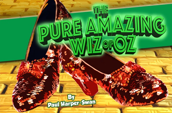 The Pure Amazing Wiz of Oz, Websters Theatre 