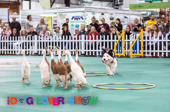 The Dog Lover Show, SEC