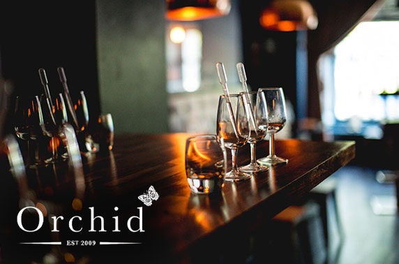 Gin tasting at Orchid Aberdeen