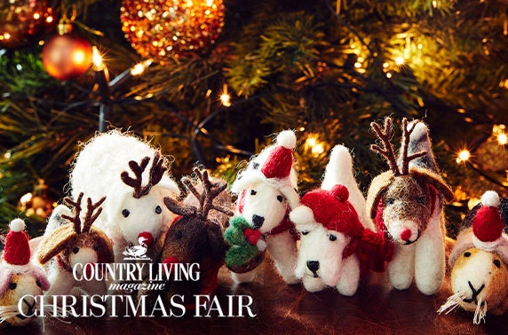 Country Living Christmas Fair, SEC