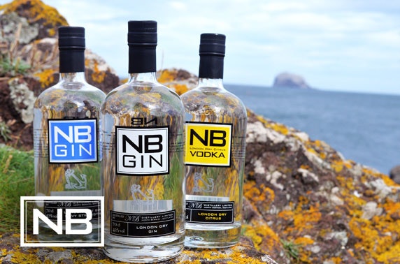 NB Gin distillery tour, tasting & bottle