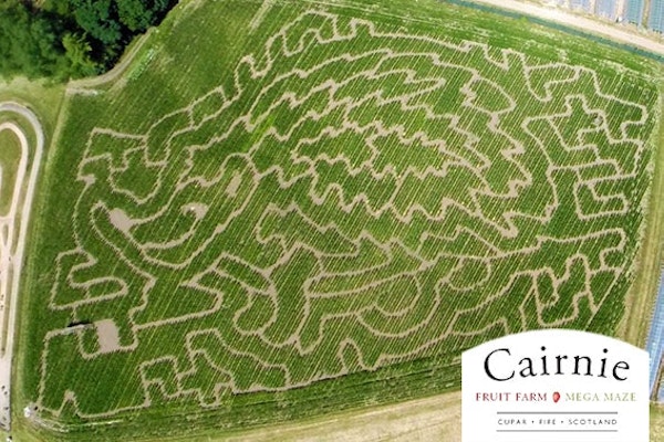 Cairnie Fruit Farm & Mega Maze