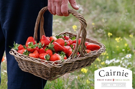 Cairnie Fruit Farm family ticket, Cupar
