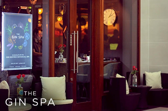 The Gin Spa treatments & afternoon tea