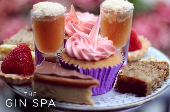 The Gin Spa treatments & afternoon tea