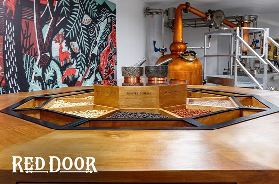 Red Door Gin Experience at Benromach Distillery
