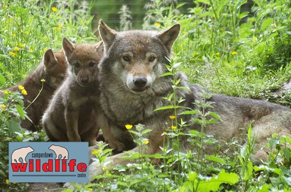 Camperdown Wildlife Centre family pass - valid 7 days!