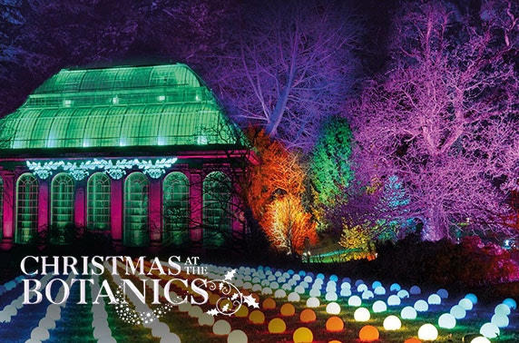 Christmas at the Royal Botanic Gardens