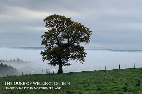5* Duke of Wellington Inn stay - £69
