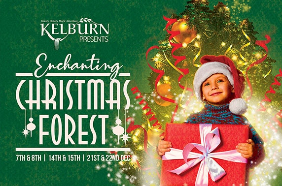 Kelburn's Christmas Forest at Kelburn Estate, nr Largs
