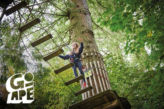 Go Ape Matfen Treetop Challenge