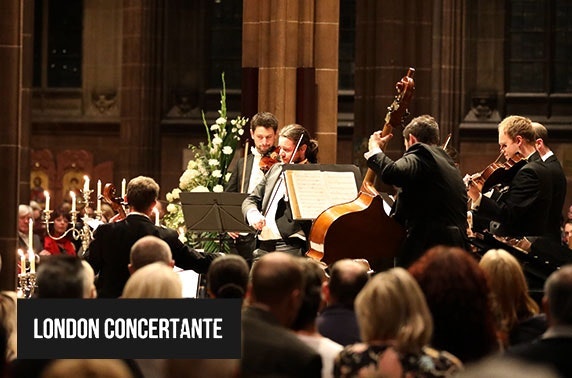 London Concertante presents Music from the Movies