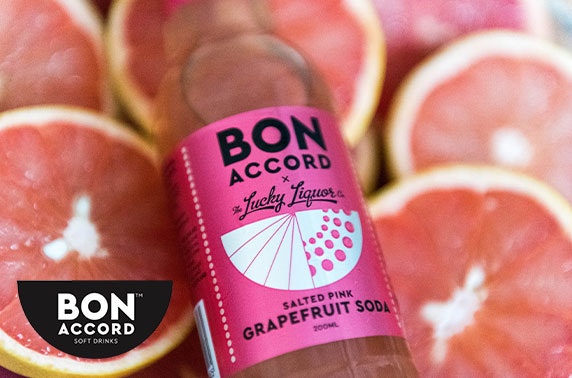Multi-award-winning Bon Accord Soft Drinks tonic or soda, inc P&P