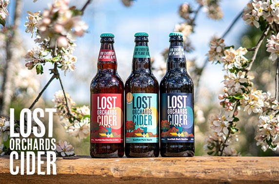 Cases of cider from Lost Orchards Cider - free UK P&P