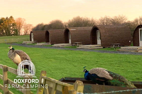 Northumberland luxury glamping - from £99