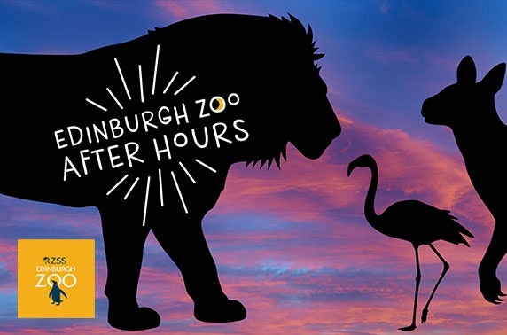 Edinburgh Zoo After Hours - adults only! 