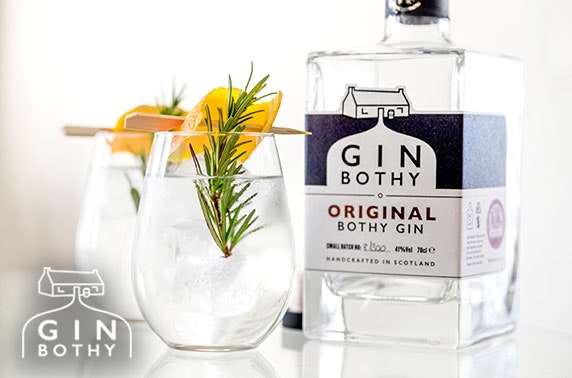 Award-winning Gin Bothy tasting experience