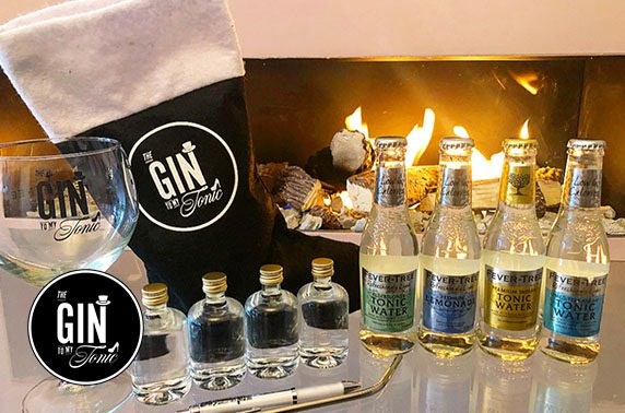 The Gin to My Tonic's virtual Christmas gin festival