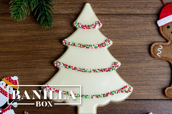 Christmas boxes from Banilla Box
