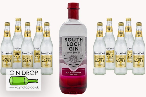 South Loch Gin & FeverTree tonic, delivered