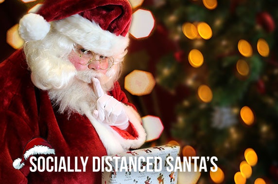 Personalised video or 10 min live grotto call from Santa