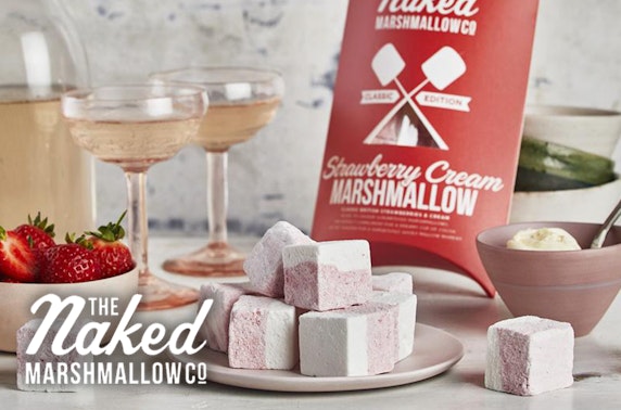 Gourmet Marshmallow toasting kits