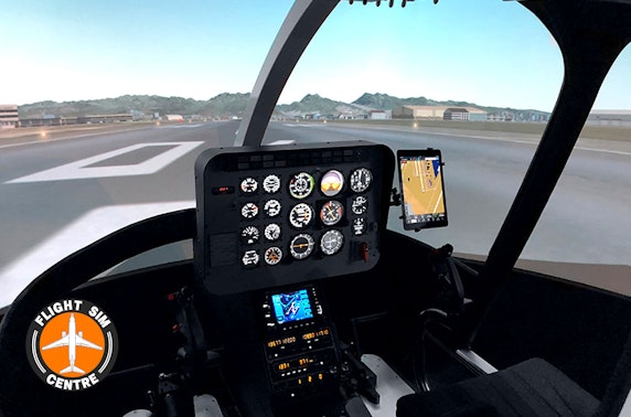 Flight simulation experience