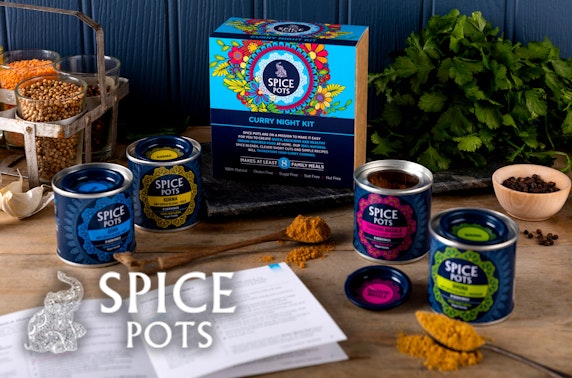 Authentic Indian spice kits