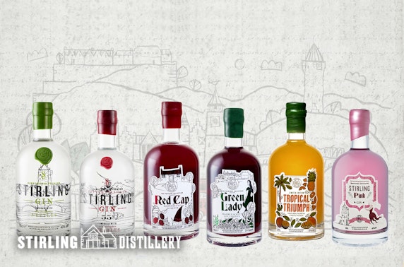 Stirling Distillery tour & gin tasting