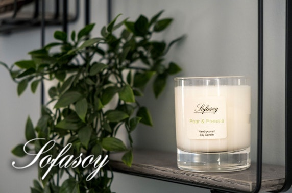 Luxury glass soy candle & reed diffuser