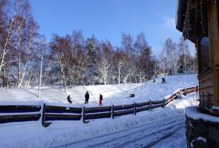 Winter activity chalet stay, Aviemore